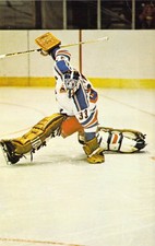 1975-76 New York Rangers Hockey Player #33 John Davidson Goalie Postcard A71 picture