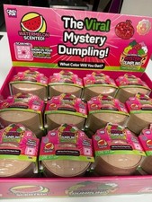 Crazy Fun RMS Mystery Dumpling Series WHOLE CASE - RARE SEALED AUTHENTIC picture