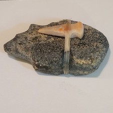Vintage Hand Carved Zuni Stone 2