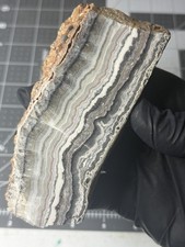 Laguna Lace Agate Polished Specimen Nice Banding  picture