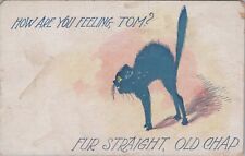 Screeching Cat How Are You Feeling Tom? UNP c1910s Postcard 6641d2 picture