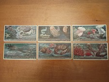 DEEP SEA LIFE: Set of Scarce GARTMANN Chocolate Cards (1919) set 525 picture