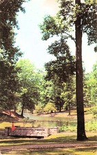 Evansville IN Indiana Woman Red Dress Bridge Garvin Park Vtg Postcard 18A picture