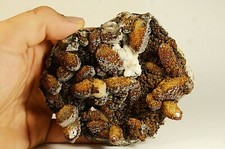 Small Siderite Crystals on Quartz Cluster 351g Mineral Specimen Collection  picture