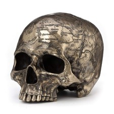 Veronese Design  Finish Craniumography Old Treasure Map On Skull Statue - Bronze picture