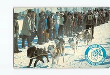 Postcard International Dog Sled Derby North Bay Winter Fur Carnival Canada picture