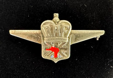 VTG.Sterling Silver WW2 RAF Tribute of Valor British American Ambulance Corp Pin picture