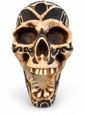 Vintage Veronese Realistic Tribal Human Skull Sculpture Statue Figurine Prop picture