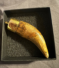 Ice Age Bear Fossil Mammal Canine Tooth Pendant 14k solid gold Tested Engraved picture