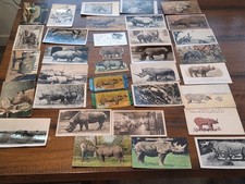 35 PC VTG ANTIQUE RHINOCEROS POST CARDS DIE CUT TAPESTRIES NEAT LOT picture