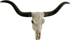 Impressive 20 Inch Longhorn Skull Sculpture with Black Horns for Rustic Decor picture