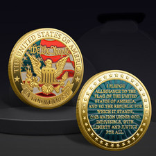 Government Pledge of Allegiance Challenge Coin Collectable United States 1-pc picture