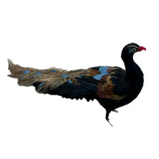Vintage Mini Peacock Figurine Natural Feathers Bird Doll Wire Legs 7in Lifelike picture