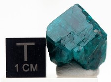 DIOPTASE Crystal Mineral Specimen Termination Emerald Green TSUMEB MINE NAMIBIA picture