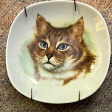 Schumann Arzberg Bavaria Germany Porcelain Cat Portrait Plates Set of 3 picture