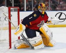 ROBERTO LUONGO Florida Panthers 8X10 PHOTO PICTURE 22050704666 picture