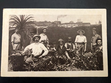 PALESTINE WINERY JUDAICA RISHON LEZION CARMEL CELLARS RARE PC 1934 picture