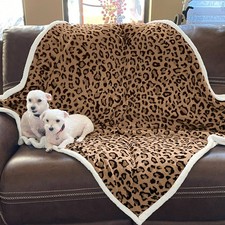 Brown Leopard Double Layered Warm Blanket picture