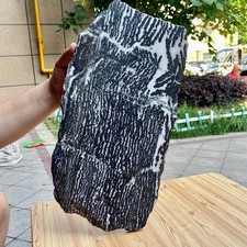 7.3 lb Polished Zebra Jasper Slice Black White Stripe Natural Specimen picture