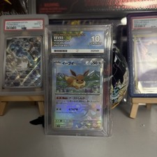 Eevee Master Ball 125/187 Terastal Festival ex sv8a Ace Grading Gem Mint 10 picture