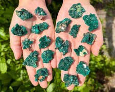 Vivid Dioptase Crystal Clusters - Rare 'AAA' Grade Natural Dioptase Minerals picture