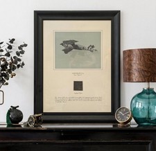 Vintage RARE Smithsonian Albatros D. Va. No 7161/17 Orig Fabric FRAMED 16x20 picture