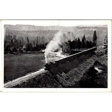 On Line of Western Pacific Railroad Near Blairsden CA Vintage Postcard SP17-14 picture