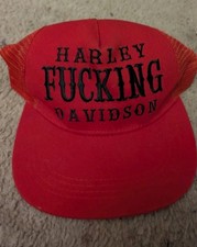 HARLEY FK DAVIDSON  picture