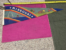 VTG Missouri State HILLBILLY St. Louis Arch CARDINAL Souvenir Pennant -SHIP FAST picture