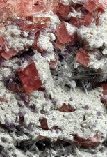 Sweet home mine Colorado Rhodochrosite fluorite quartz HUGE 10IN TOP SHELF picture