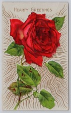 Vintage HEARTY GREETINGS Embossed Rose Postcard 1914 Carmi IL Postmark picture
