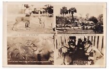 Post Card RPPC Greetings From Silver Springs Florida picture