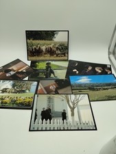 Set Of 8 Amish Seasons Witmer Stuff Postcards Ephemera picture