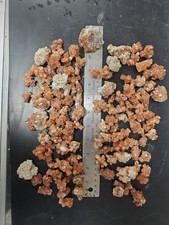 2.2 lb Wholesale Bulk Lot Raw Aragonite Star Clusters 0.5