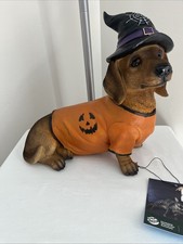 Halloween Dachshund Statue Pumpkin Sweater Witch Hat Figurine NWT Humane Society picture