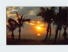 Postcard Golden Sunrise Scene picture