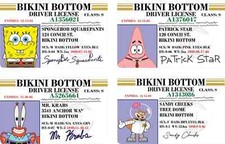 Bikini Bottom Driver License Card Skin | Funny Cartoon Sticker - 4 Pack picture
