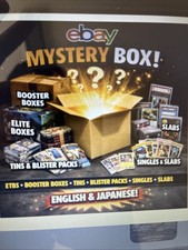 Pokemon TCG Mystery Box picture