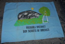 Vintage  Hand Painted  Boy Scout Banner  36