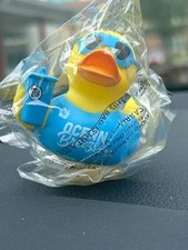 Seven Brew blue duck  picture
