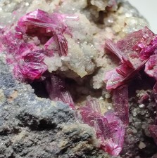 Erythrite crystals on matrix. Bou Azzer, Morocco. 58 grams. picture
