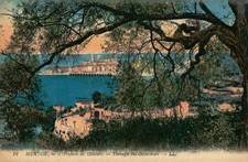 Menton France Through the Olive Trees LL Vintage Postcard picture