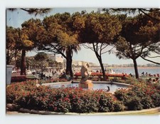 Postcard The Public Garden The Croisette Cannes France picture
