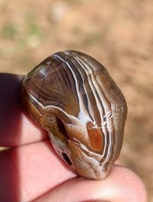 Lake Superior Agate, .8oz Beautiful Mixed Color Display Agate  picture