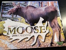 2016 Alaska Dispatch Moose 12 Month Photo Calendar Beautiful Moose in the Wild picture