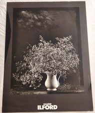 ​🔥 Rare Jean Dieuzaide Photo Poster - La Saladelle (1978) - Galerie ILFORD - picture