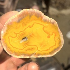 Kentucky Agate Specimen | Mirror Polished | Bright Yellow Pink Banding picture