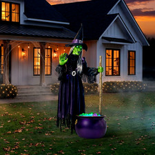 Member's Mark 8.5' Pre-Lit Animated Witch picture