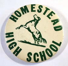 Vtg 1970s Homestead High School Pinback Cupertino CA Mustangs Wozniak Jobs Apple picture