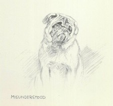 Pug 